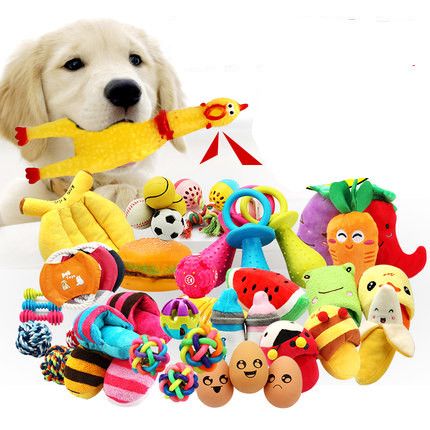Animal & Pet